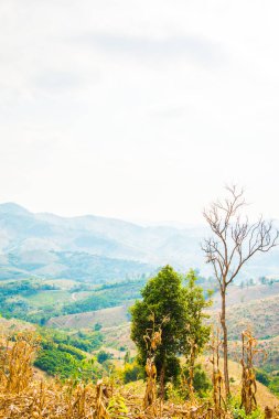 Tayland 'ın Phayao eyaletindeki dağ manzarası.