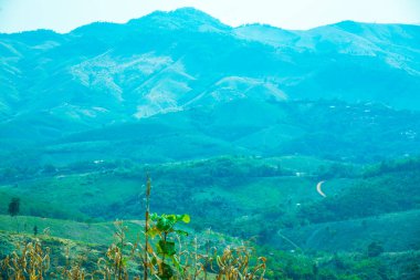 Tayland 'ın Phayao eyaletindeki dağ manzarası.