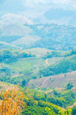 Tayland 'ın Phayao eyaletindeki dağ manzarası.