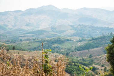 Tayland 'ın Phayao eyaletindeki dağ manzarası.