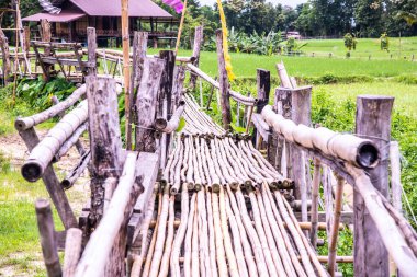 Tayland 'da pirinç tarlası olan küçük bir köprü..