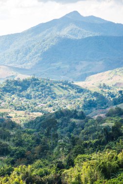 Tayland 'ın Chiangrai eyaletinde dağ manzarası.