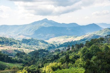 Tayland 'ın Chiangrai eyaletinde dağ manzarası.