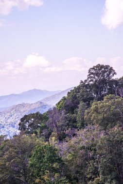 Tayland 'ın Chiangrai eyaletinde dağ manzarası.