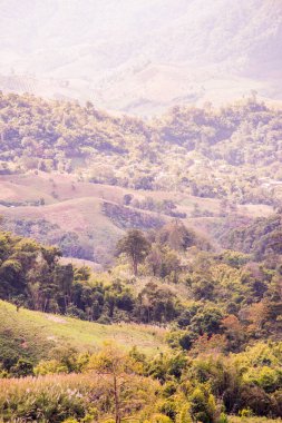 Tayland 'ın Chiangrai eyaletinde dağ manzarası.
