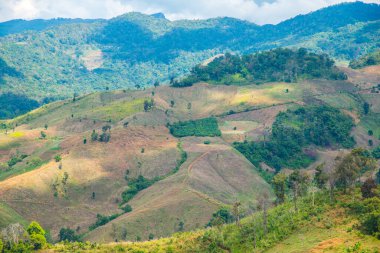 Tayland 'ın Chiangrai eyaletinde dağ manzarası.