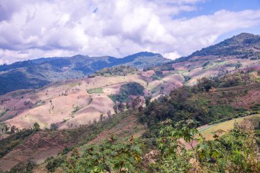Tayland 'ın Chiangrai eyaletinde dağ manzarası.