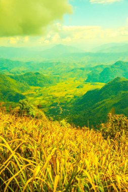 Chiangrai, Tayland 'da Phu Chi Fa' nın en iyi manzarası.