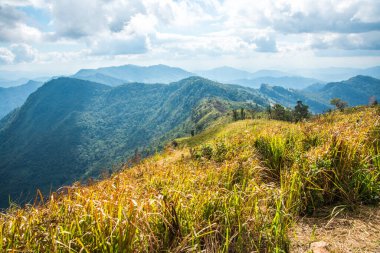 Chiangrai, Tayland 'daki Phu Chi Fa Dağı manzarası.