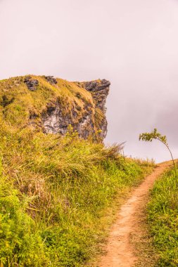 Chiangrai, Tayland 'daki Phu Chi Fa Dağı manzarası.