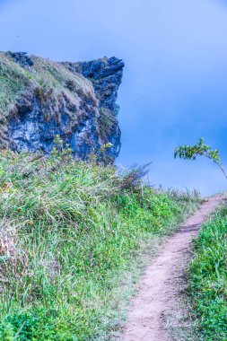 Chiangrai, Tayland 'daki Phu Chi Fa Dağı manzarası.