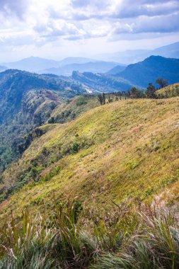 Chiangrai, Tayland 'daki Phu Chi Fa Dağı manzarası.