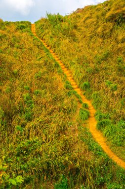 Phu Chi Fa, Tayland 'da dağda yürüyüş yolu.