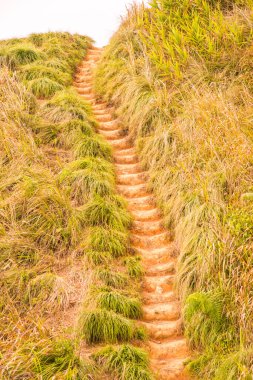 Phu Chi Fa, Tayland 'da dağda yürüyüş yolu.