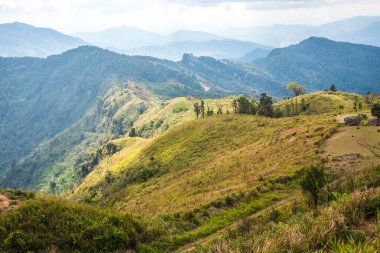 Chiangrai, Tayland 'daki Phu Chi Fa Dağı manzarası.