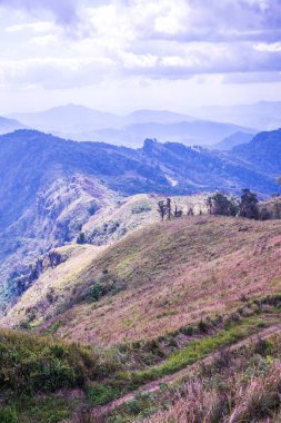 Chiangrai, Tayland 'daki Phu Chi Fa Dağı manzarası.