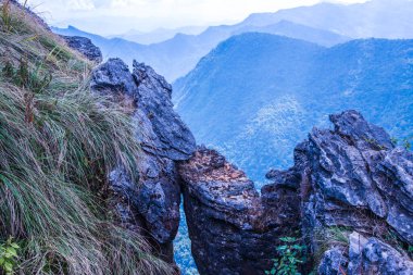 Chiangrai, Tayland 'daki Phu Chi Fa Dağı manzarası.