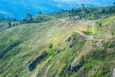 Chiangrai, Tayland 'daki Phu Chi Fa Dağı manzarası.