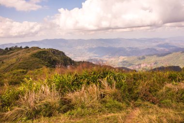 Chiangrai, Tayland 'daki Phu Chi Fa Dağı manzarası.