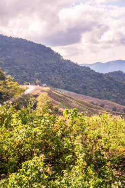 Tayland 'ın Chiangrai eyaletinde dağ manzarası.