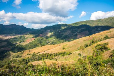 Tayland 'ın Chiangrai eyaletinde dağ manzarası.