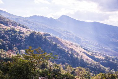 Tayland 'ın Chiangrai eyaletinde dağ manzarası.