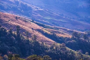 Tayland 'ın Chiangrai eyaletinde dağ manzarası.