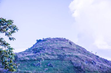 Tayland 'ın Chiangrai ilindeki Doi Pha Tang Dağı manzarası.