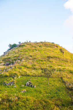 Tayland 'ın Chiangrai ilindeki Doi Pha Tang Dağı manzarası.
