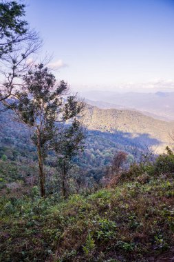 Tayland 'ın Chiangrai ilindeki Doi Pha Tang Dağı manzarası.