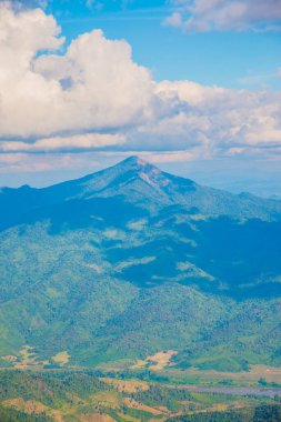 Tayland 'ın Chiangrai ilindeki Doi Pha Tang Dağı manzarası.