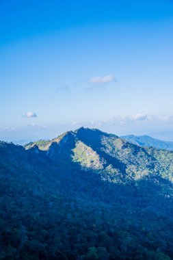 Tayland 'ın Chiangrai ilindeki Doi Pha Tang Dağı manzarası.