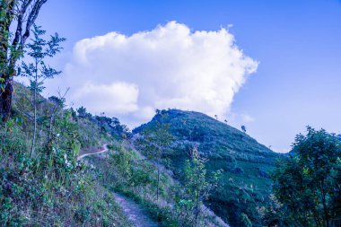 Tayland 'ın Chiangrai ilindeki Doi Pha Tang Dağı manzarası.