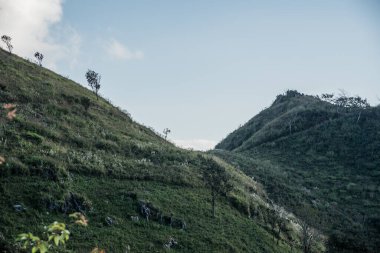 Tayland 'ın Chiangrai ilindeki Doi Pha Tang Dağı manzarası.