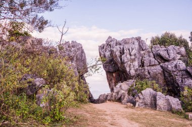 Doi Pha Tang 'ın Chiangrai, Tayland' daki görüş açısı.