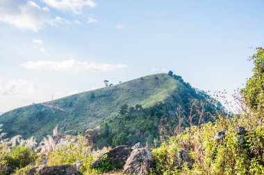 Tayland 'ın Chiangrai ilindeki Doi Pha Tang Dağı manzarası.
