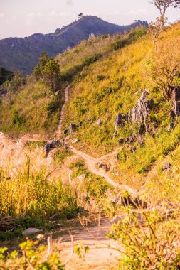 Tayland 'ın Chiangrai ilindeki Doi Pha Tang Dağı manzarası.