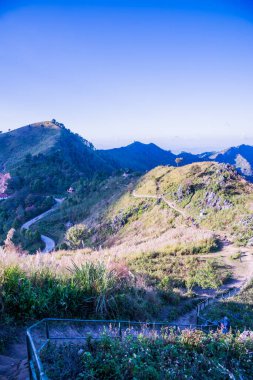 Tayland 'ın Chiangrai ilindeki Doi Pha Tang Dağı manzarası.