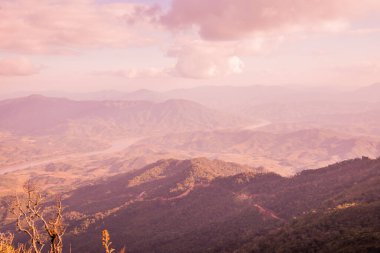 Tayland 'ın Chiangrai ilindeki Doi Pha Tang Dağı manzarası.