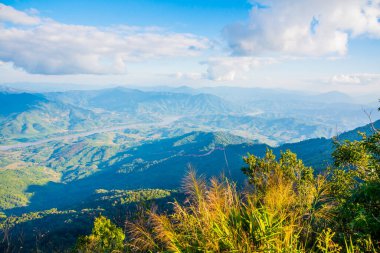 Tayland 'ın Chiangrai ilindeki Doi Pha Tang Dağı manzarası.