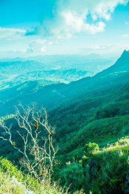 Tayland 'ın Chiangrai ilindeki Doi Pha Tang Dağı manzarası.