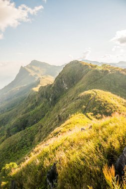 Tayland 'ın Chiangrai ilindeki Doi Pha Tang Dağı manzarası.