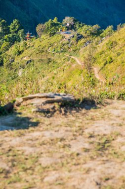 Tayland 'ın Chiangrai ilindeki Doi Pha Tang Dağı manzarası.