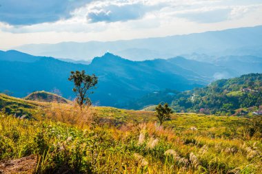 Tayland 'ın Chiangrai ilindeki Doi Pha Tang Dağı manzarası.