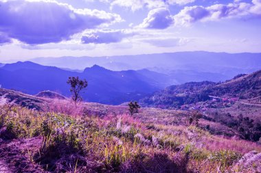 Tayland 'ın Chiangrai ilindeki Doi Pha Tang Dağı manzarası.