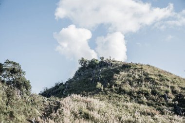 Tayland 'ın Chiangrai ilindeki Doi Pha Tang Dağı manzarası.