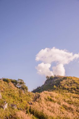 Tayland 'ın Chiangrai ilindeki Doi Pha Tang Dağı manzarası.