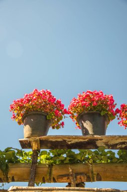 Tayland, Tayland 'da dağdaki bahçe.