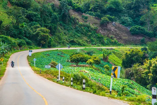 Phu Chi Pa yolu, Tayland.