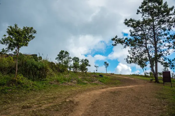 Chiangrai, Tayland 'daki Phu Chi Fa Dağı manzarası.